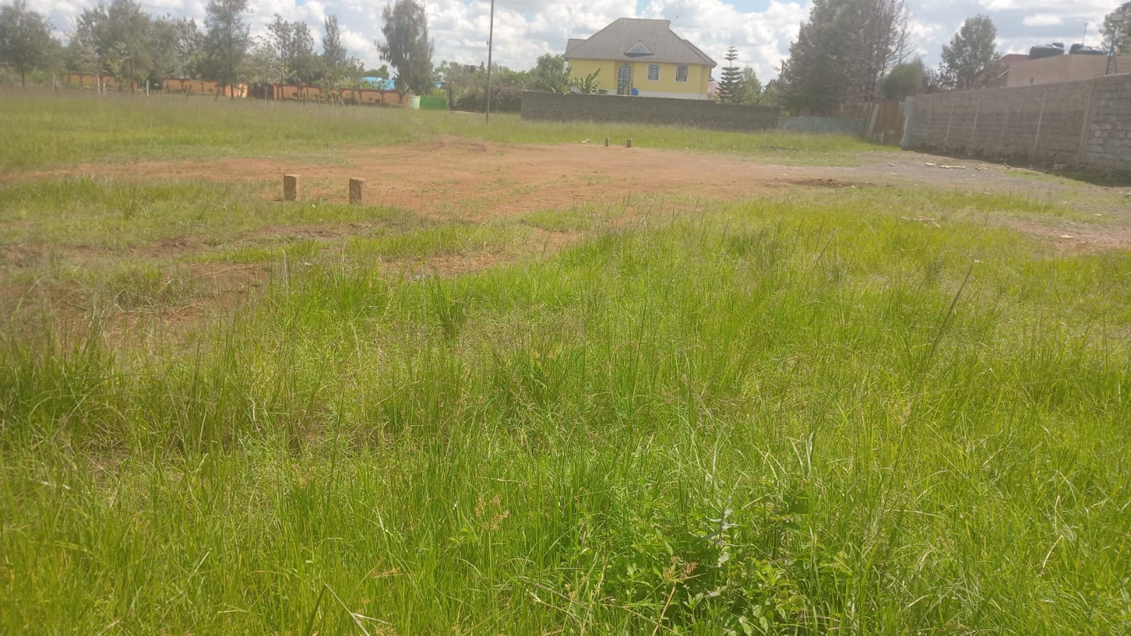 MUGUTHA-BUSTANI